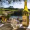 How Wineries Can Use Video Marketing To Modernize Their Brands